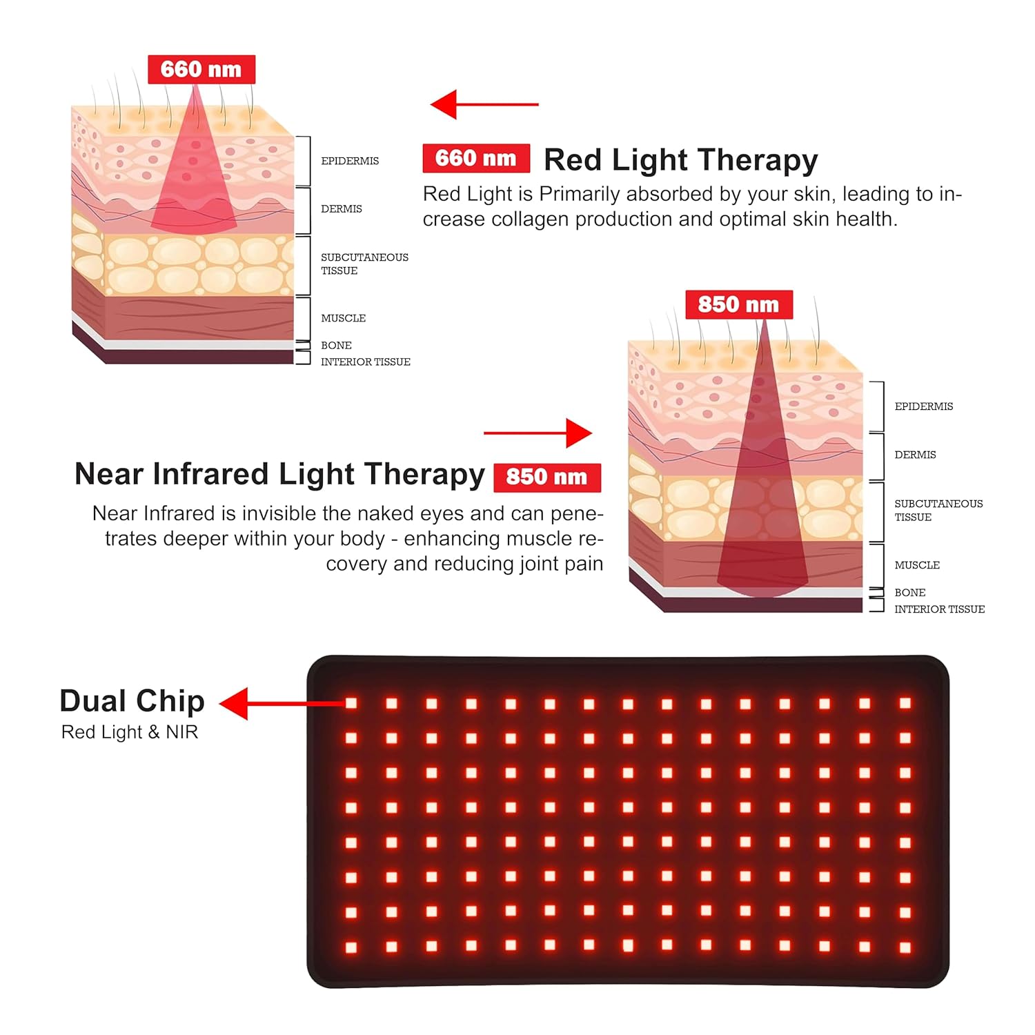 RedWave™ LED Therapy Belt ElderonPlus