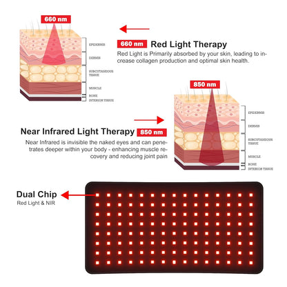 RedWave™ LED Therapy Belt ElderonPlus